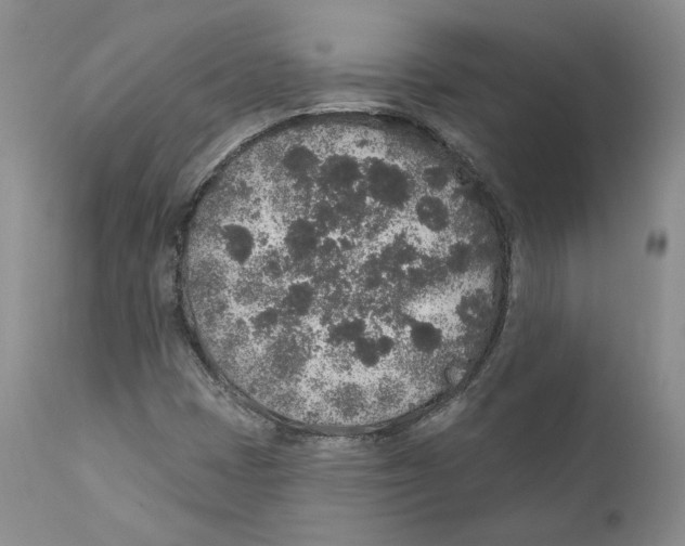 X0000110761401200907131158