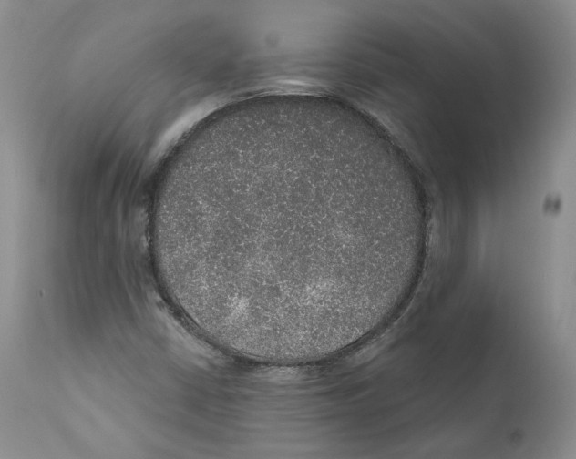 X0000110761402200907131158