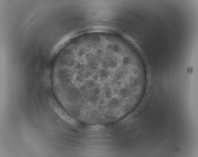 X0000110761403200907131158