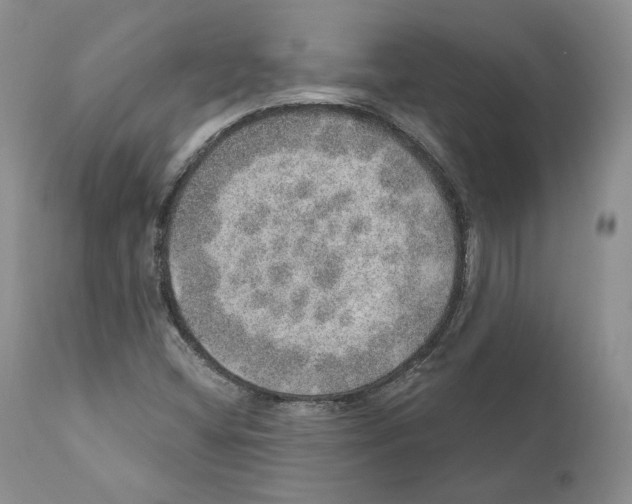 X0000110761404200907131158
