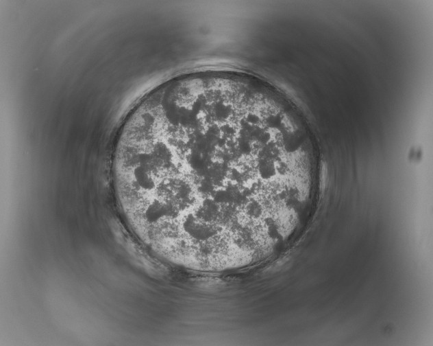 X0000110761405200907131158