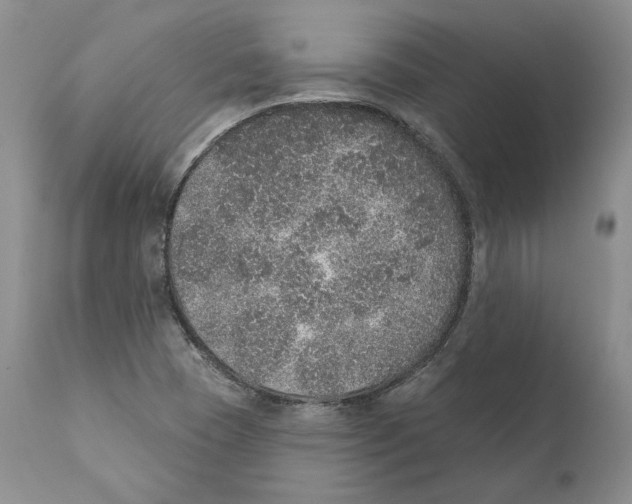 X0000110761409200907131158