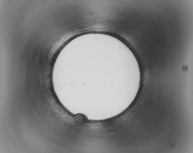 X0000110761410200907131158