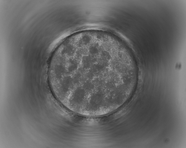 X0000110761411200907131158