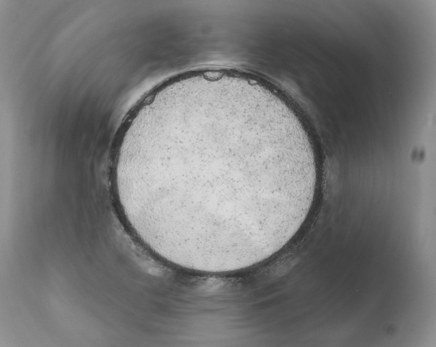 X0000110761412200907131159