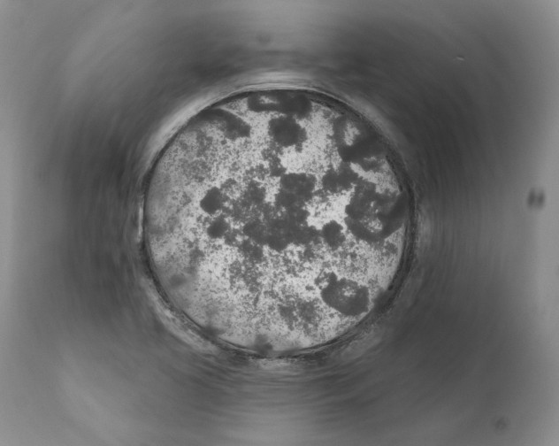 X0000110761413200907131159
