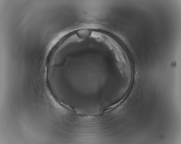 X0000110761414200907131159