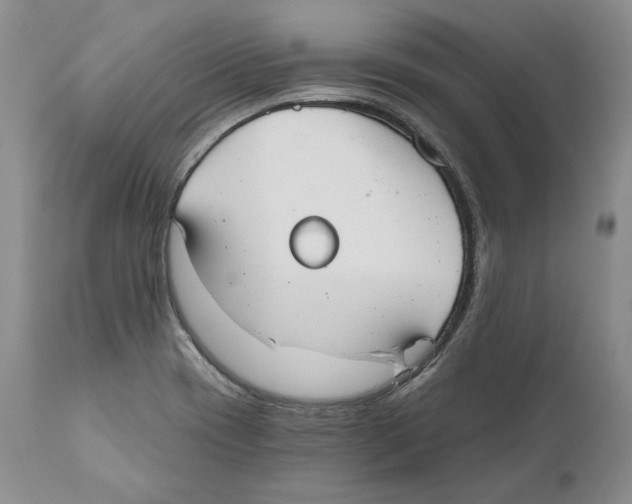 X0000110761417200907131159