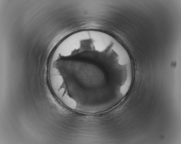 X0000110761418200907131159