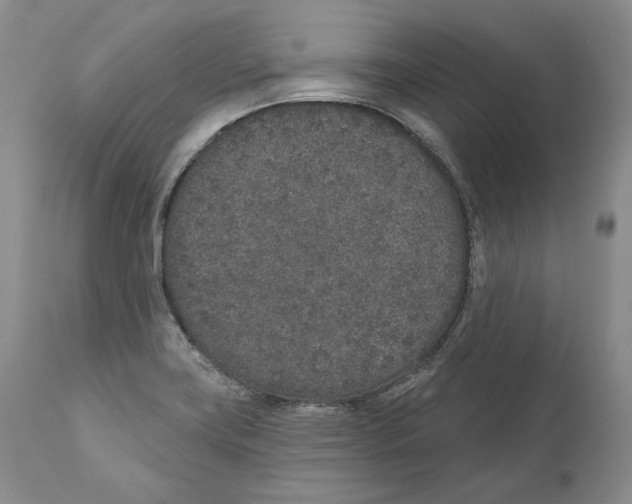 X0000110761419200907131159