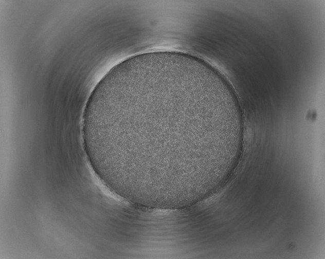 X0000110761423200907131159