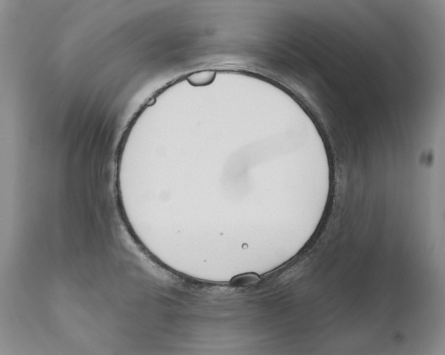 X0000110761424200907131159