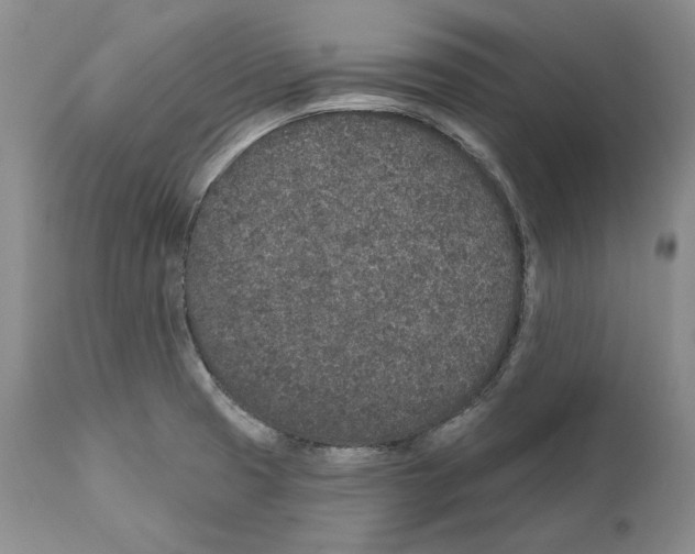 X0000110761425200907131159
