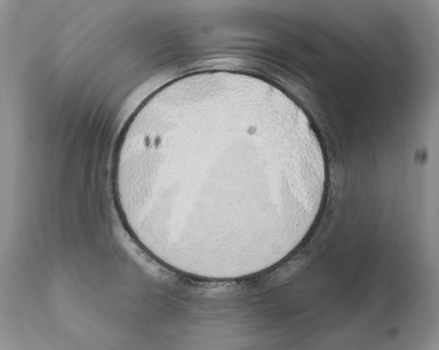 X0000110761426200907131159
