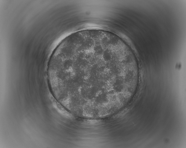 X0000110761427200907131159