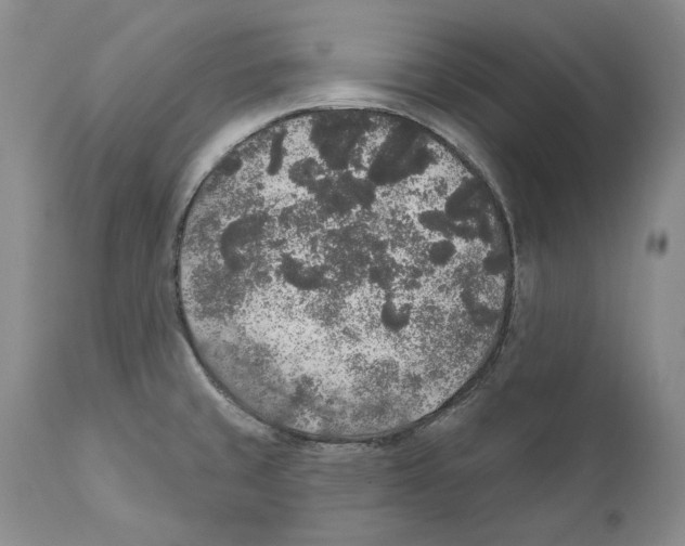X0000110761429200907131159
