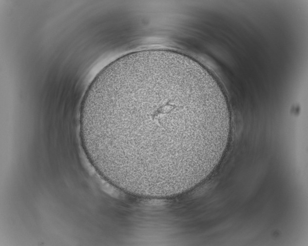 X0000110761431200907131159