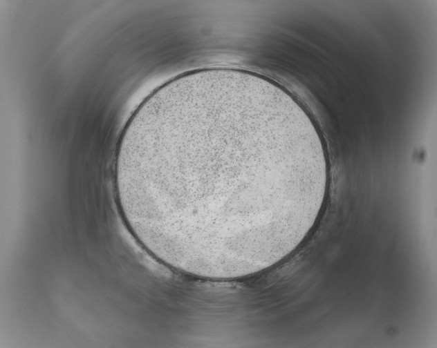X0000110761432200907131159