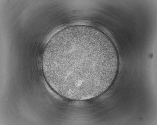 X0000110761433200907131159
