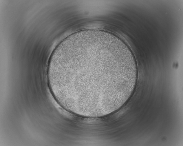X0000110761434200907131159