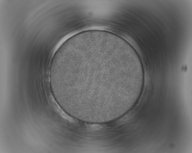 X0000110761436200907131159