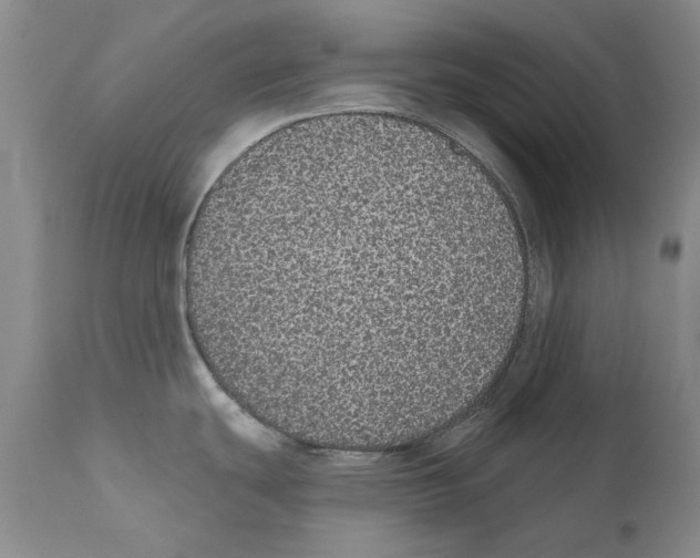 X0000110761439200907131159