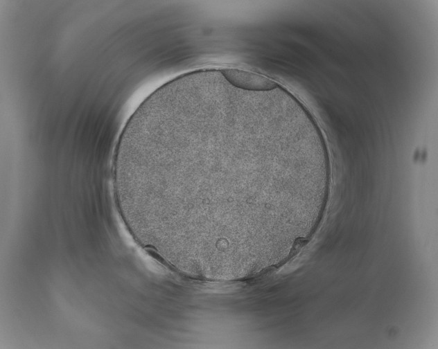 X0000110761440200907131159