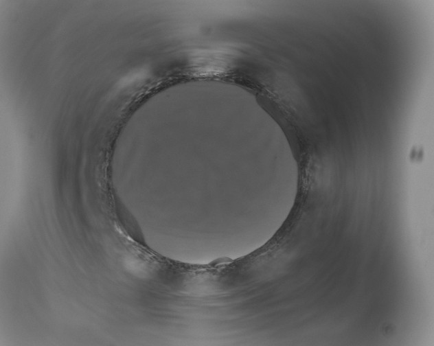 X0000110761441200907131158