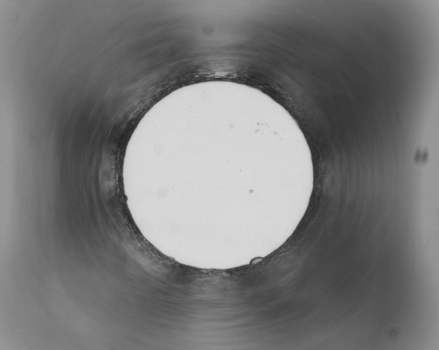 X0000110761442200907131158