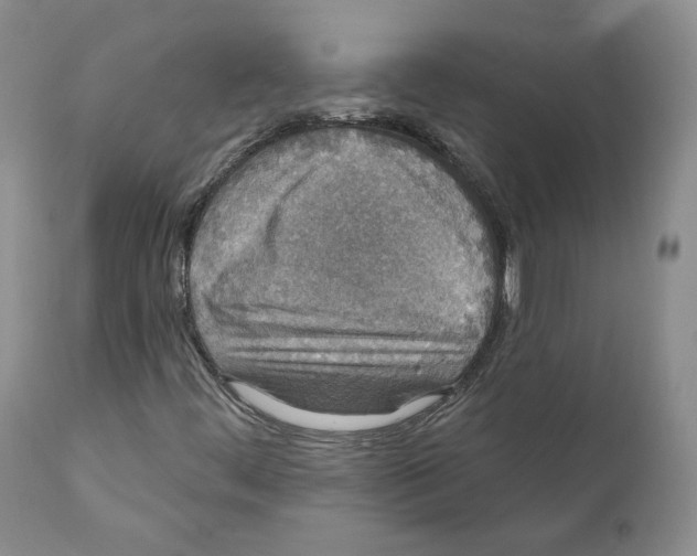 X0000110761444200907131158