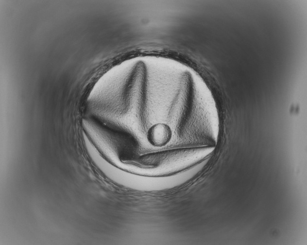 X0000110761445200907131158