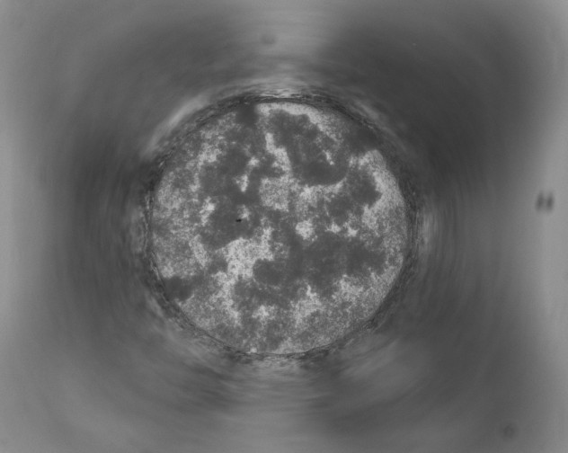 X0000110761446200907131158