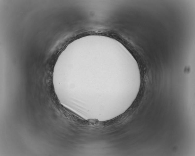 X0000110761447200907131158