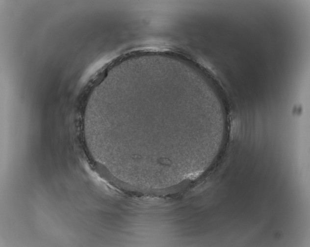 X0000110761448200907131158