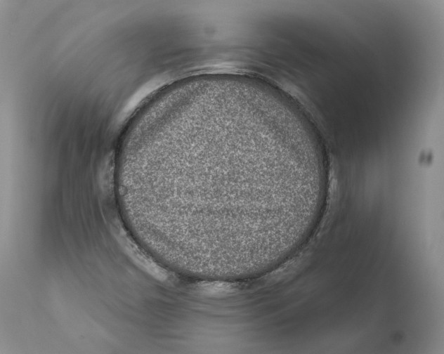 X0000110761450200907131158