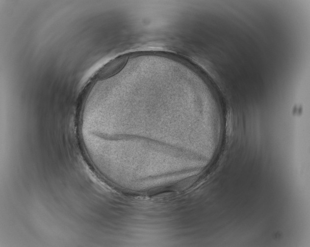 X0000110761452200907131158