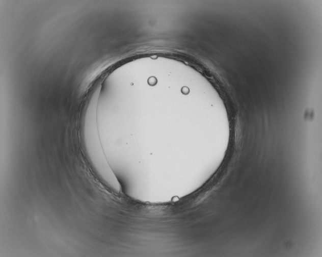 X0000110761453200907131158
