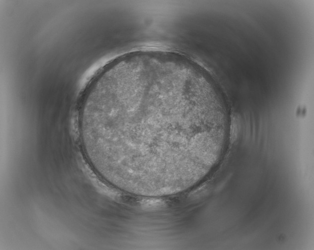 X0000110761454200907131158