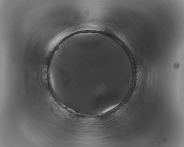 X0000110761455200907131158
