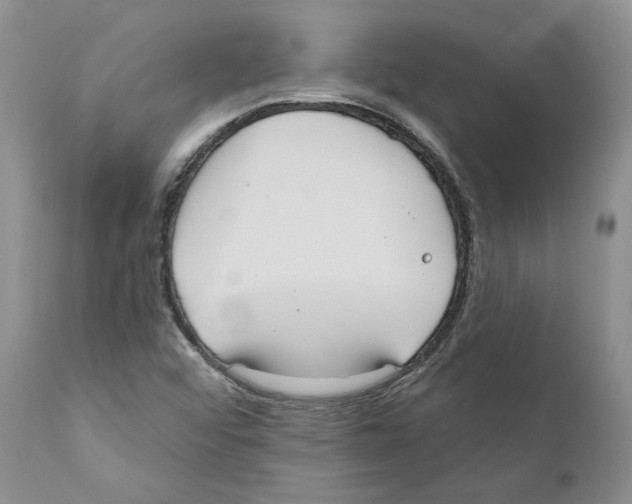 X0000110761456200907131158