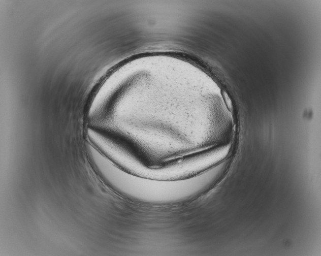X0000110761457200907131158