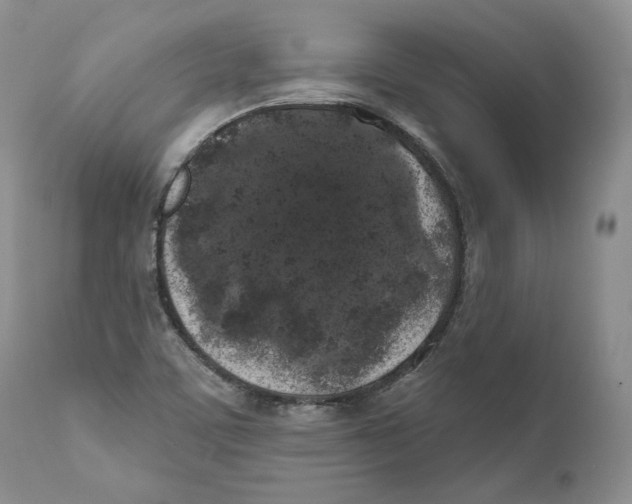 X0000110761459200907131158