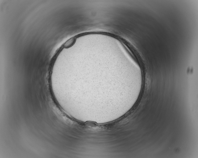 X0000110761460200907131158