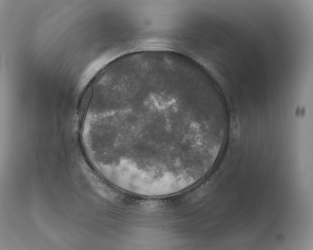X0000110761461200907131158