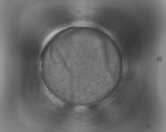 X0000110761462200907131158