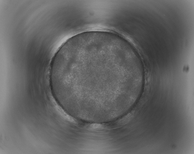 X0000110761463200907131158