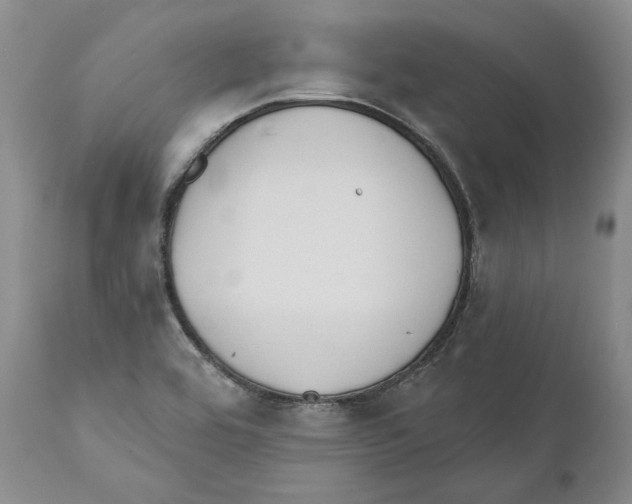 X0000110761464200907131158