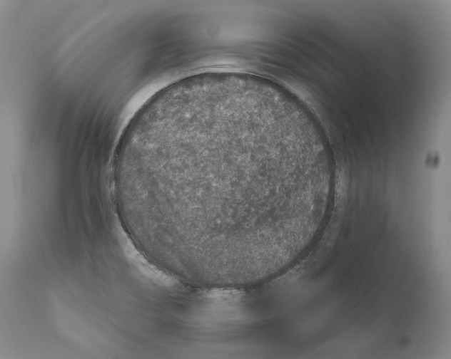 X0000110761466200907131158