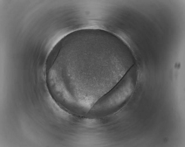 X0000110761468200907131158