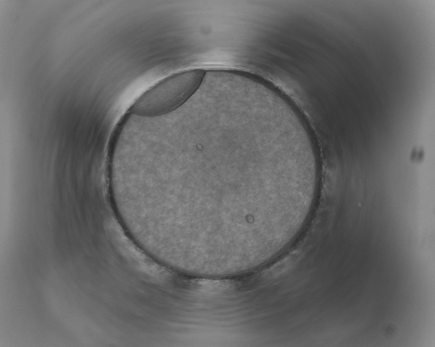 X0000110761469200907131158